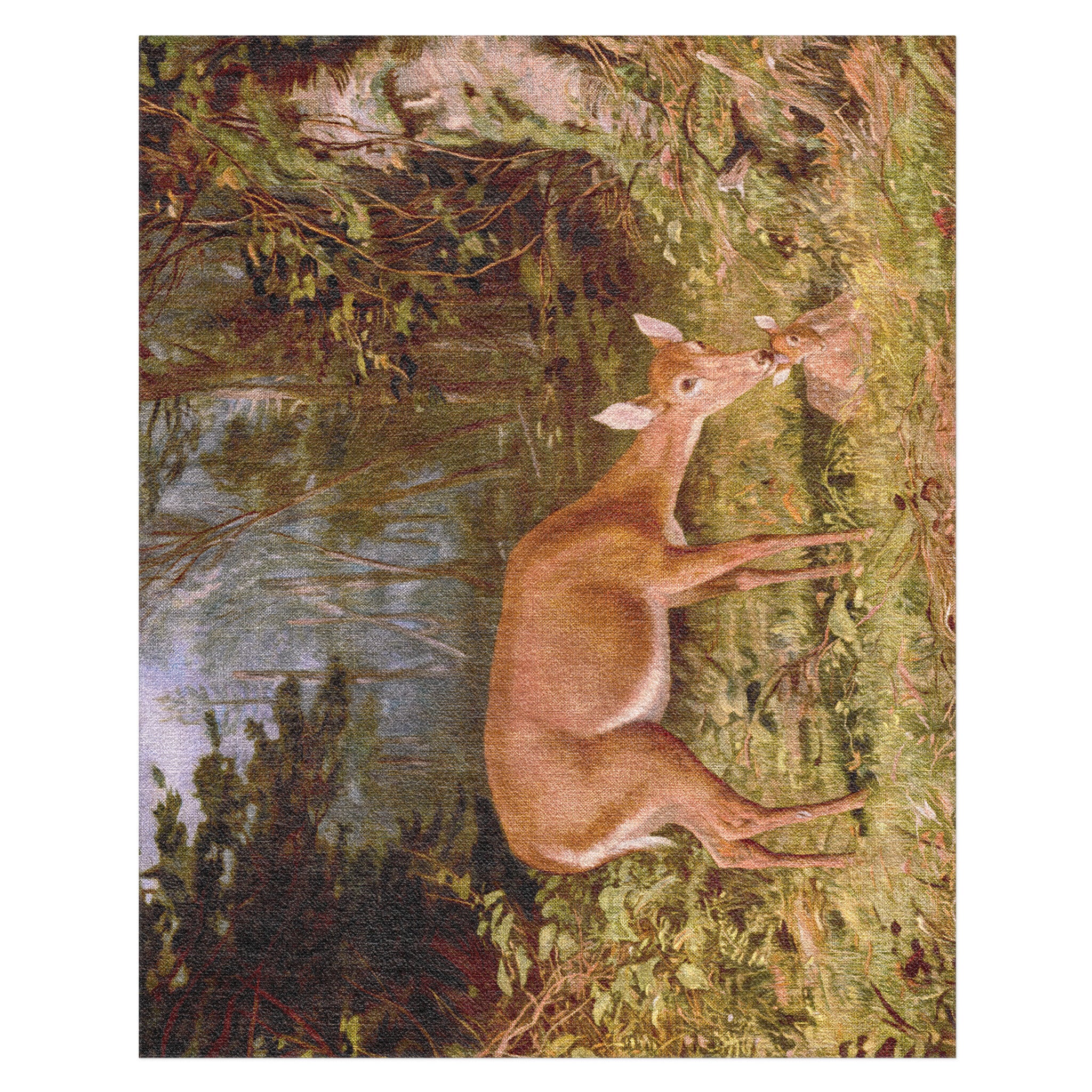 Deer and Fawn by Alfred Fitzwilliam in 8' x 10' Size